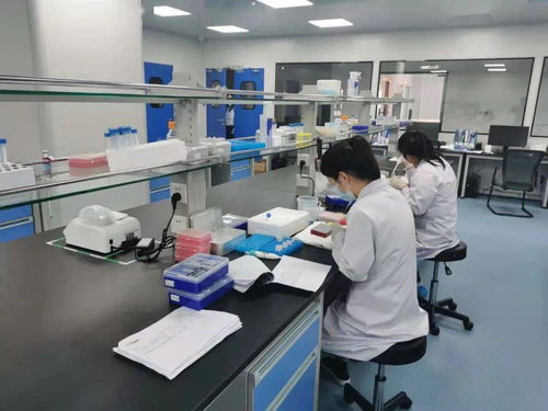 奮進(jìn)正當(dāng)時 固安產(chǎn)業(yè)新城的“犇”騰之勢與電氣科技新浪潮